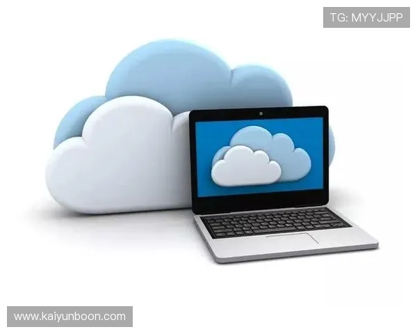 开云体育网页版入口：官方入口保障用户体验的安全登录通道